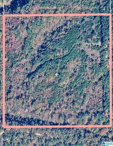 0 County Road 42 #1, Shelby, AL, 35143