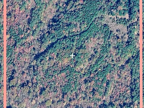 0 County Road 42 #1, Shelby, AL 35143