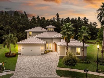 32801 Estate Garden Dr, Wesley Chapel, FL, 33545