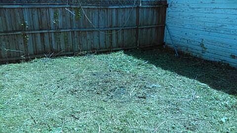 3rd image of 1079 Brown St