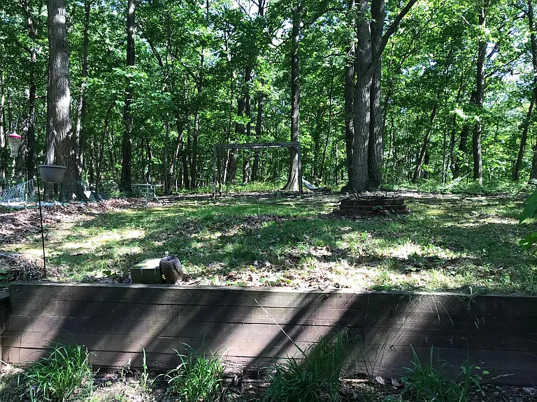 7701 Clark Rd — Photo 3