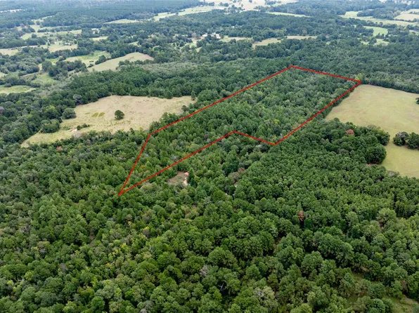Private Road 5040, Grapeland, TX 75844