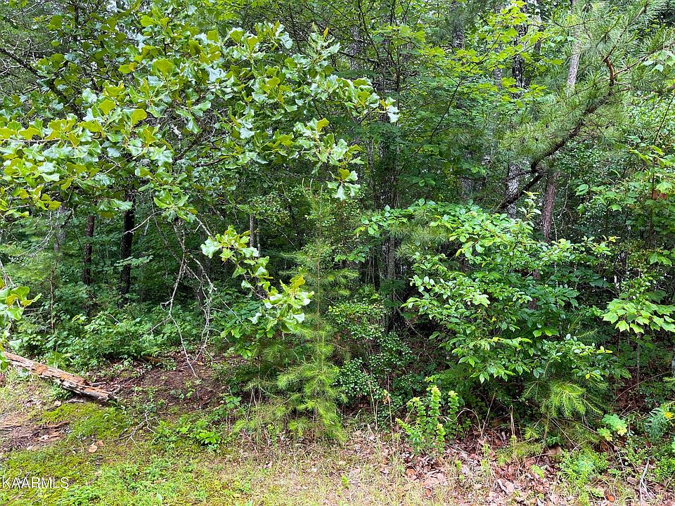 2nd image of 133 Laswell Ln #10