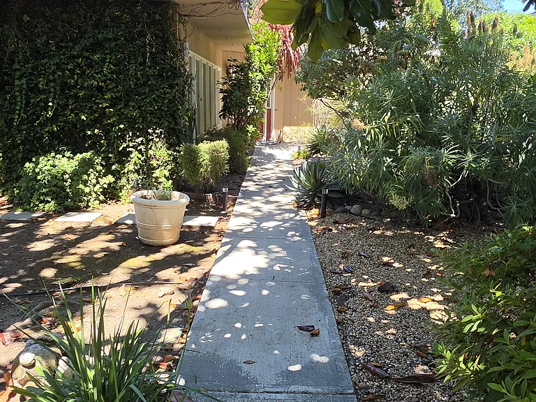 Walkway to front door of Main House