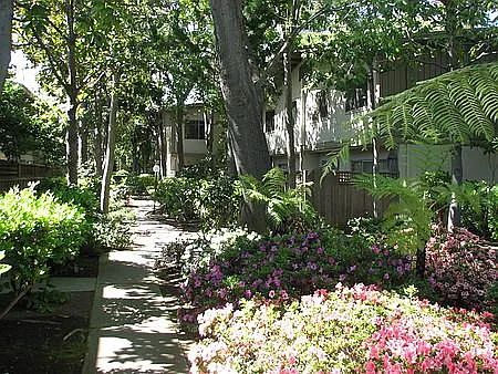 Del Monico Apartments — Photo 17