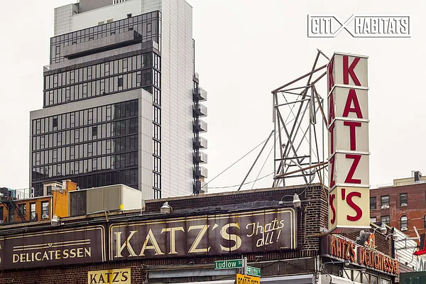 Rented by Citi Habitats | media 23