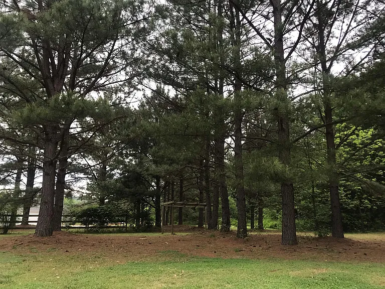 Cedar Rock Church Rd — Photo 37