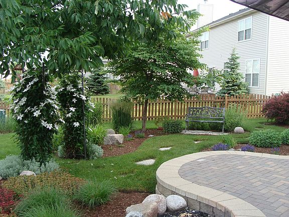 Back yard