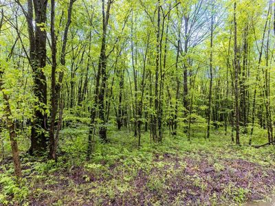 6149 Belfast Rd, Goshen, OH, 45122