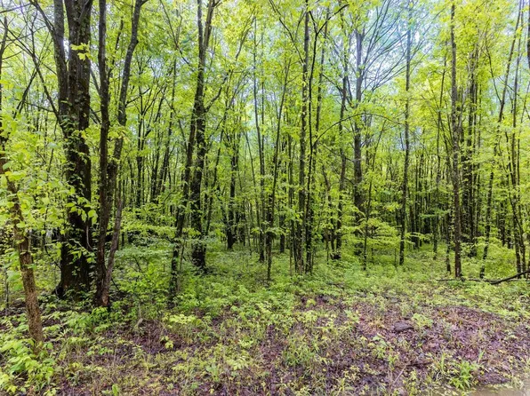 6149 Belfast Rd, Goshen, OH 45122