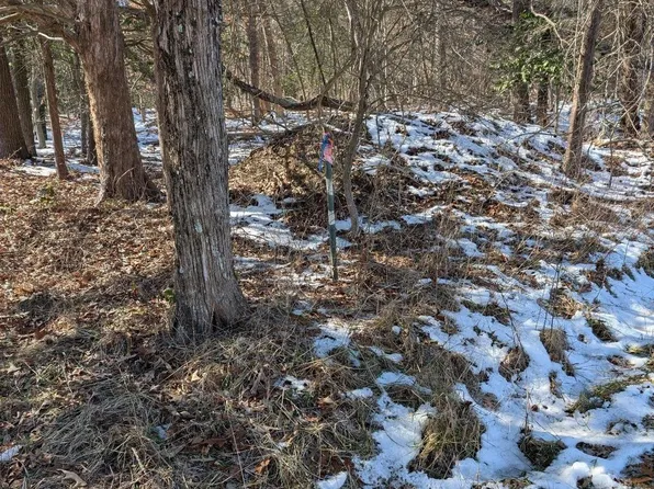 Tax Id 17111148055 Accokeek Rd, Brandywine, MD 20613