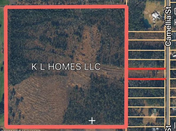 Camellia St, Kiln, MS 39556