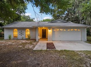 126 S Saint Cloud Ave, Valrico, FL 33594