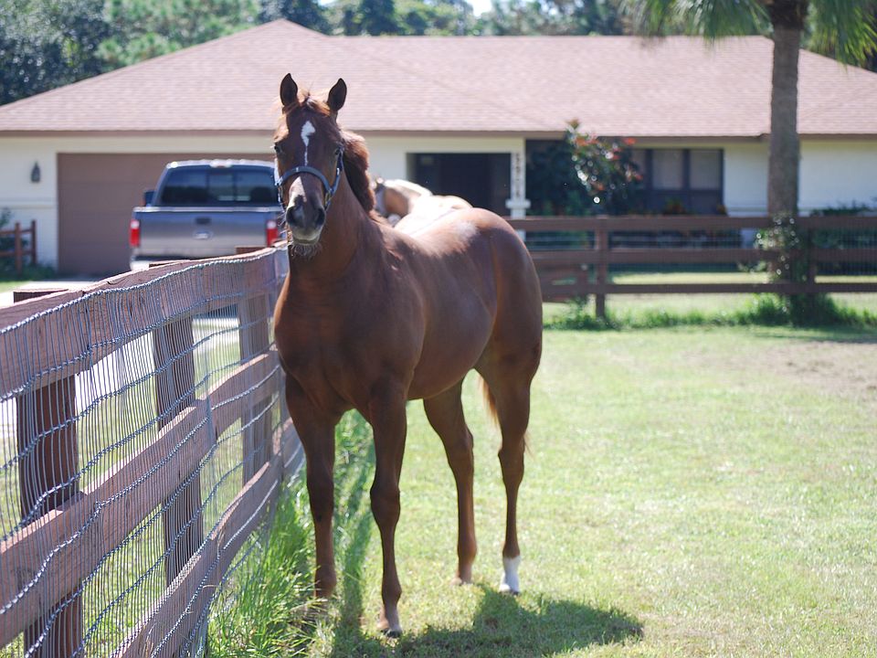 Front pasture