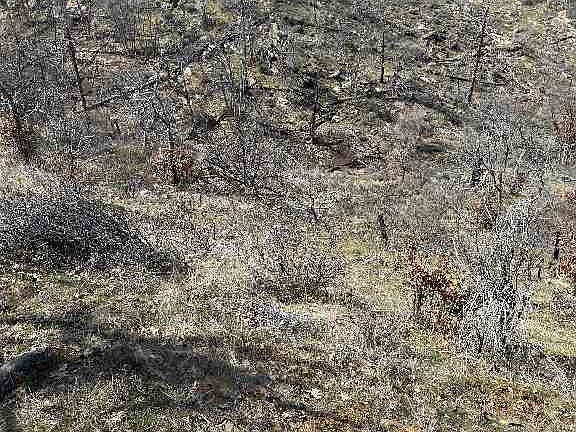 4th image of 14 Rancheria Creek Rd