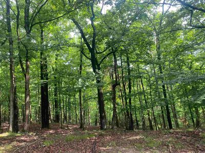 0 Wafer Cir, Hot Springs National Park, AR, 71901