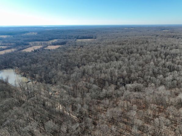 Stogey Rd LOT WP002, Brookport, IL 62910