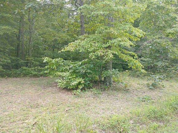 4th image of 255 Crest View Dr Lot 5