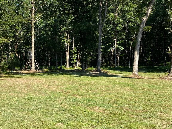 Food Plot