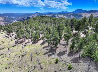 54 Holmes Gulch Road, Bailey, CO 80421