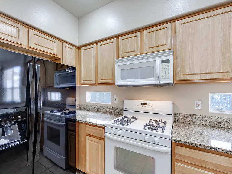 3554 Pinnate Dr — Photo 39