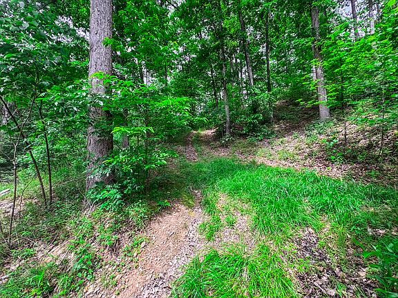 5th image of Elk River Rd Lot Wp001