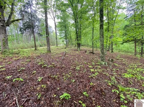 LOT 100 Western Dr, Murray, KY 42071