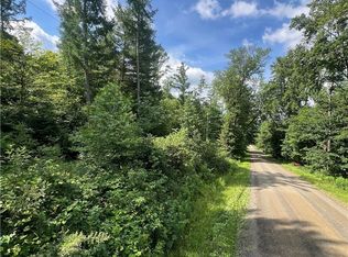 316 Bardin Rd #38, Mount Vision, NY 13810