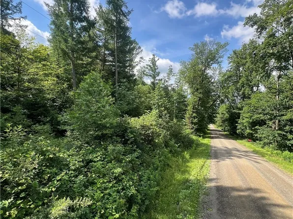 316 Bardin Rd #38, Mount Vision, NY 13810