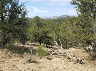 236 Lyn Ln, Cotopaxi, CO 81223