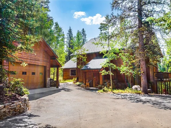 1086 County Road 10, Alma, CO 80420