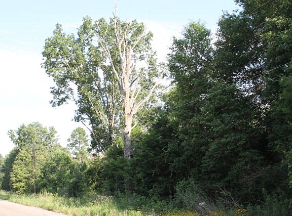 5th image of 560 County Road 2734