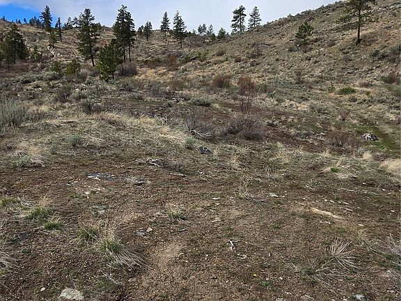 3rd image of 0 TBD Twin Springs Road