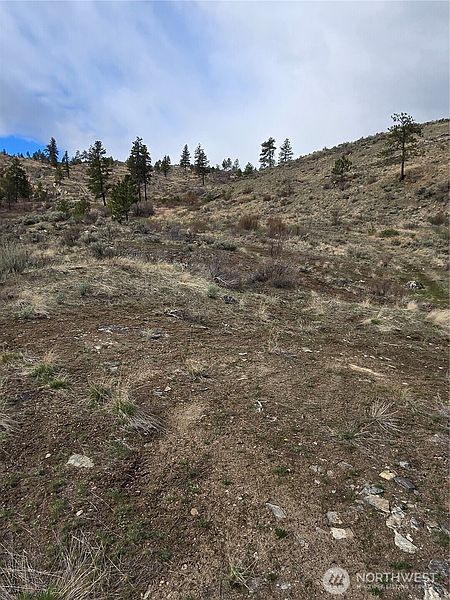 3rd image of 0 TBD Twin Springs Road