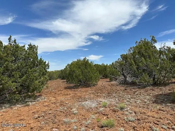 46 County Road 3048, Concho, AZ 85924