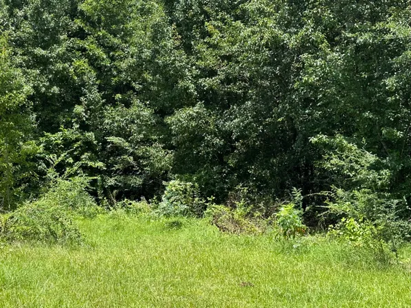 0 Branch Cv, Odenville, AL 35120