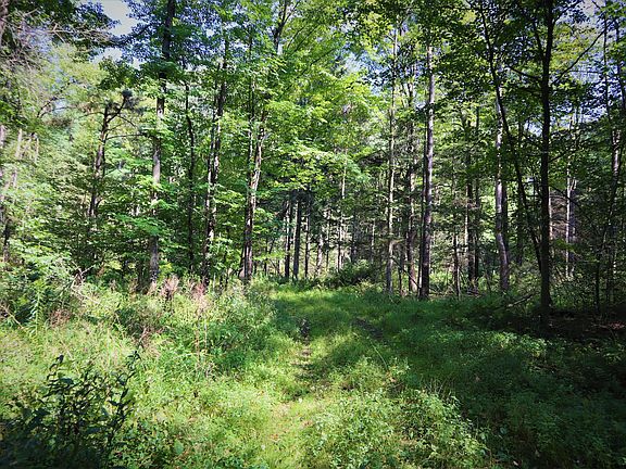 4th image of 1842 Route 426 Lot Wp001