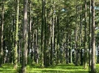 95 147 Dawson Creek Blvd, Oriental, NC 28571