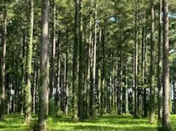 95-147 Dawson Creek Blvd #95, Oriental, NC 28571