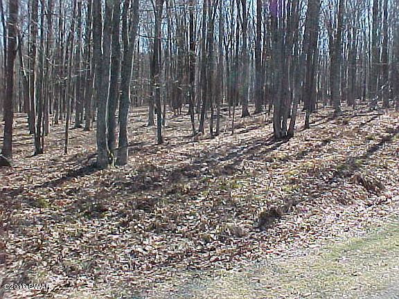 2nd image of 24 Fern Dr