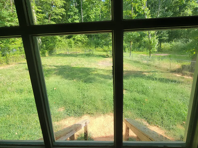 14 Forest Pl — Photo 7