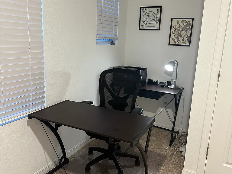 2nd bedroom offers a home office work station.