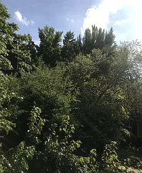 Rented by Town Residential