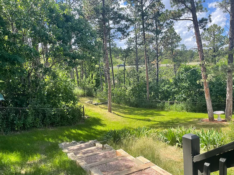 Backyard views