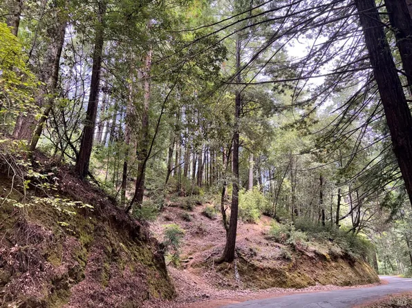 18190 Old Monte Rio Road, Guerneville, CA 95446