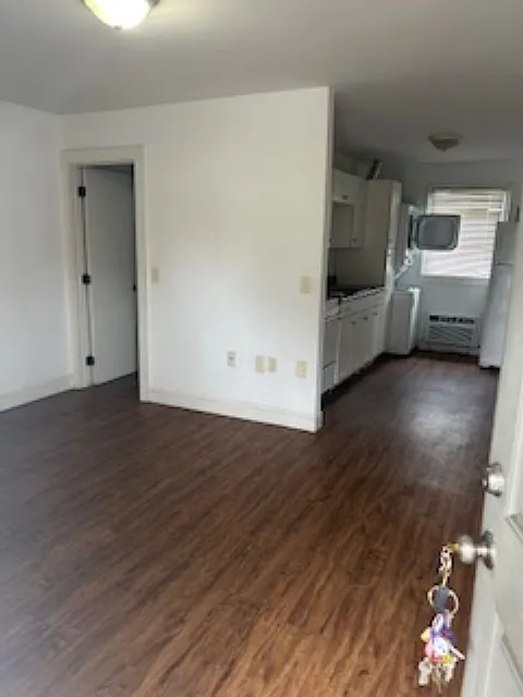 Studio, 350 sqft, $900 — Photo 1