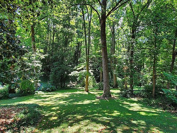 Deep Back Yard