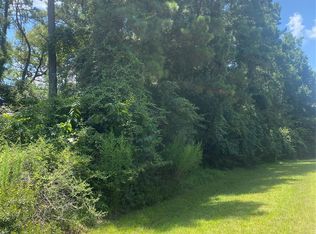 22922 Blackgum Dr, Magnolia, TX 77355