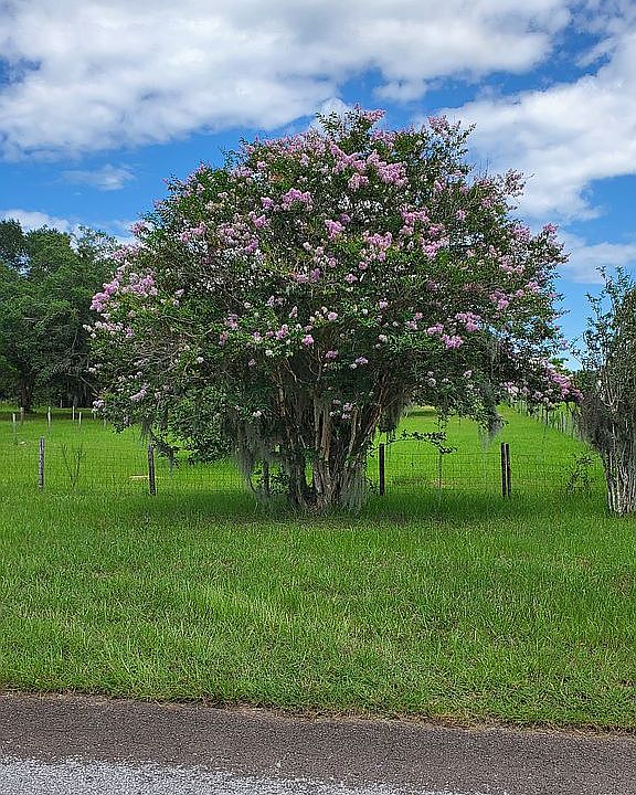 1st image of 10171 S Quarterhorse Ave
