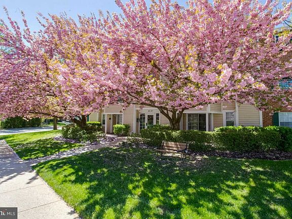 2nd image of 41 Wickham Ct #41